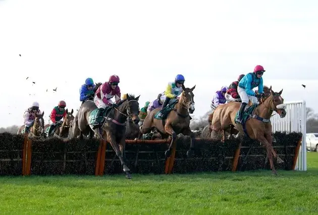 Best Cheltenham Offers & Free Bets in Ireland