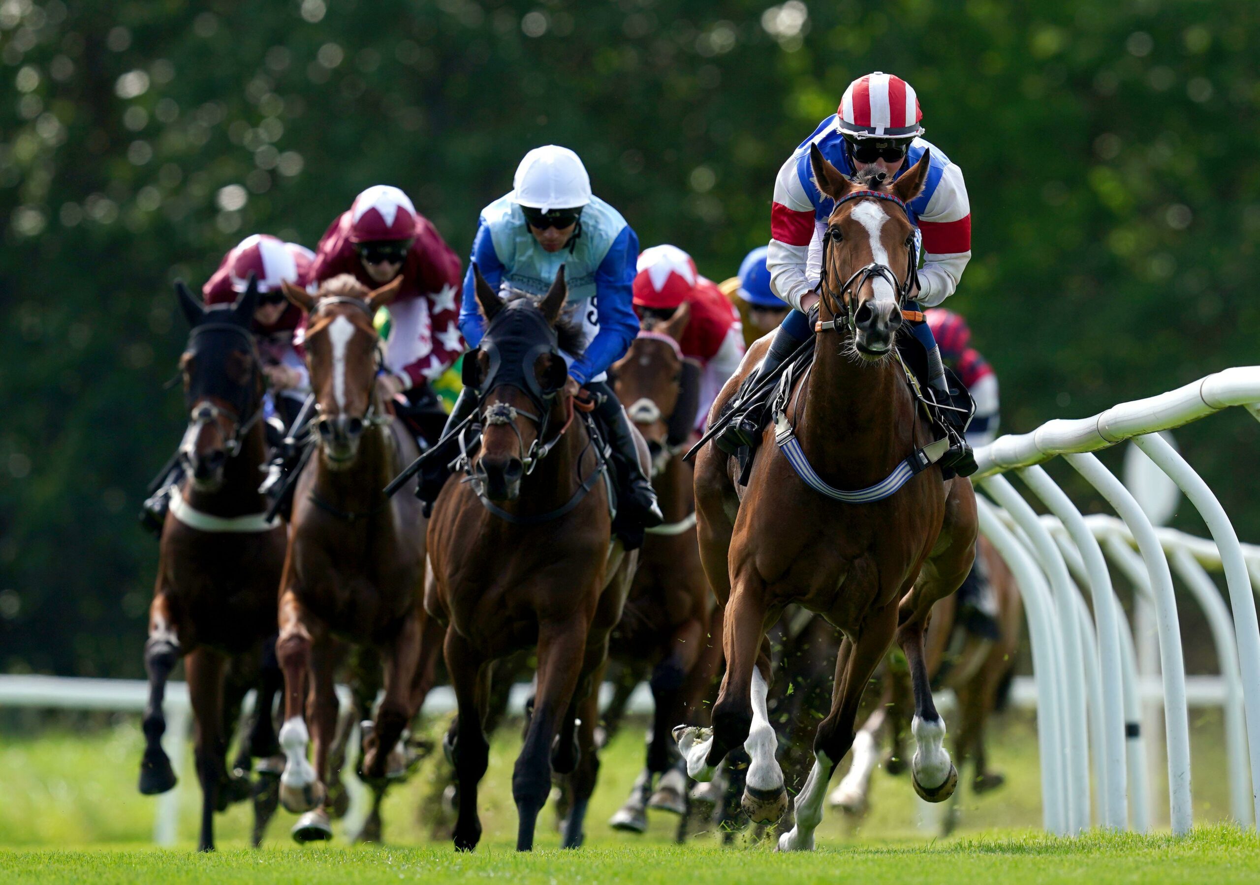 GG NAP Double And Outsider Thursday 3rd November GG co uk gg-nap-double-and-outsider-thursday-3rd-november-gg-co-uk