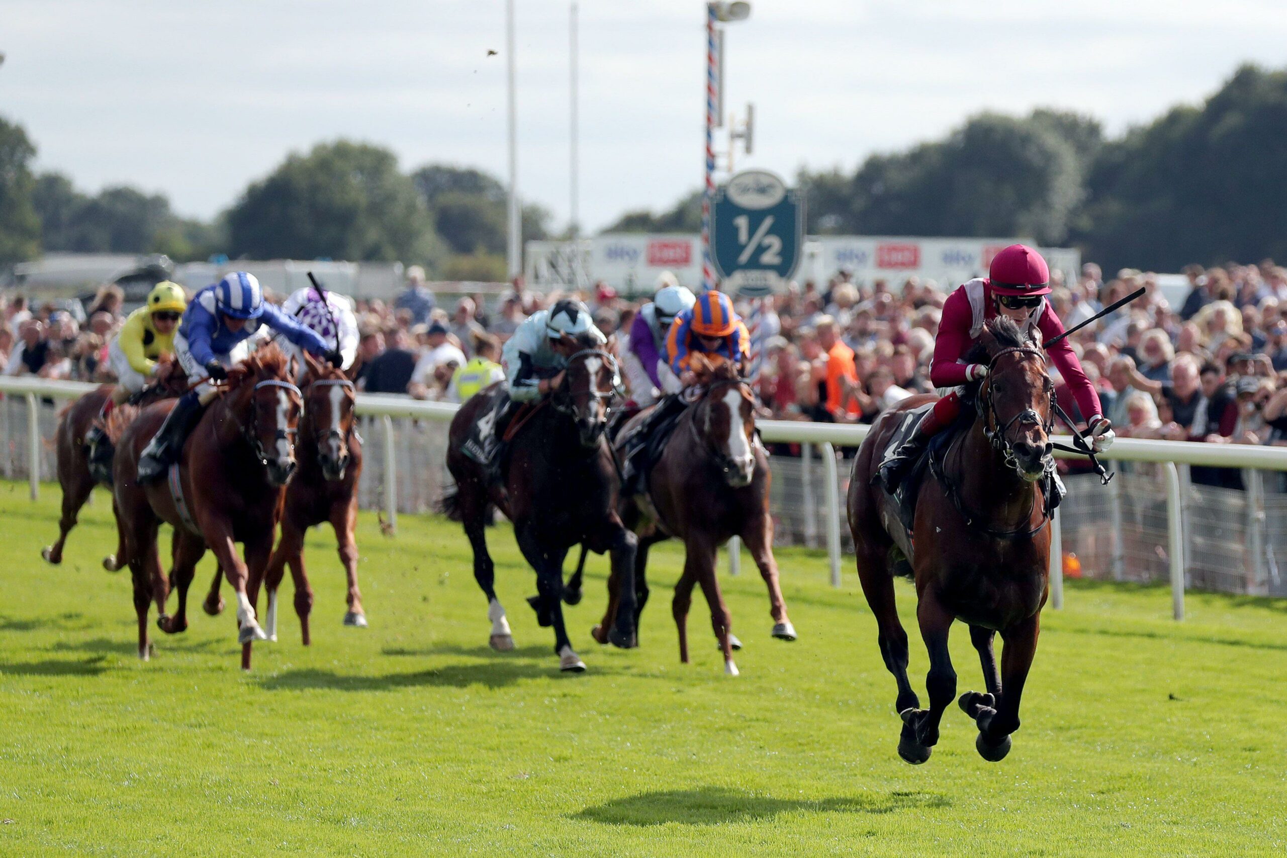York Ebor Festival Day 1 Tips GG york-ebor-festival-day-1-tips-gg