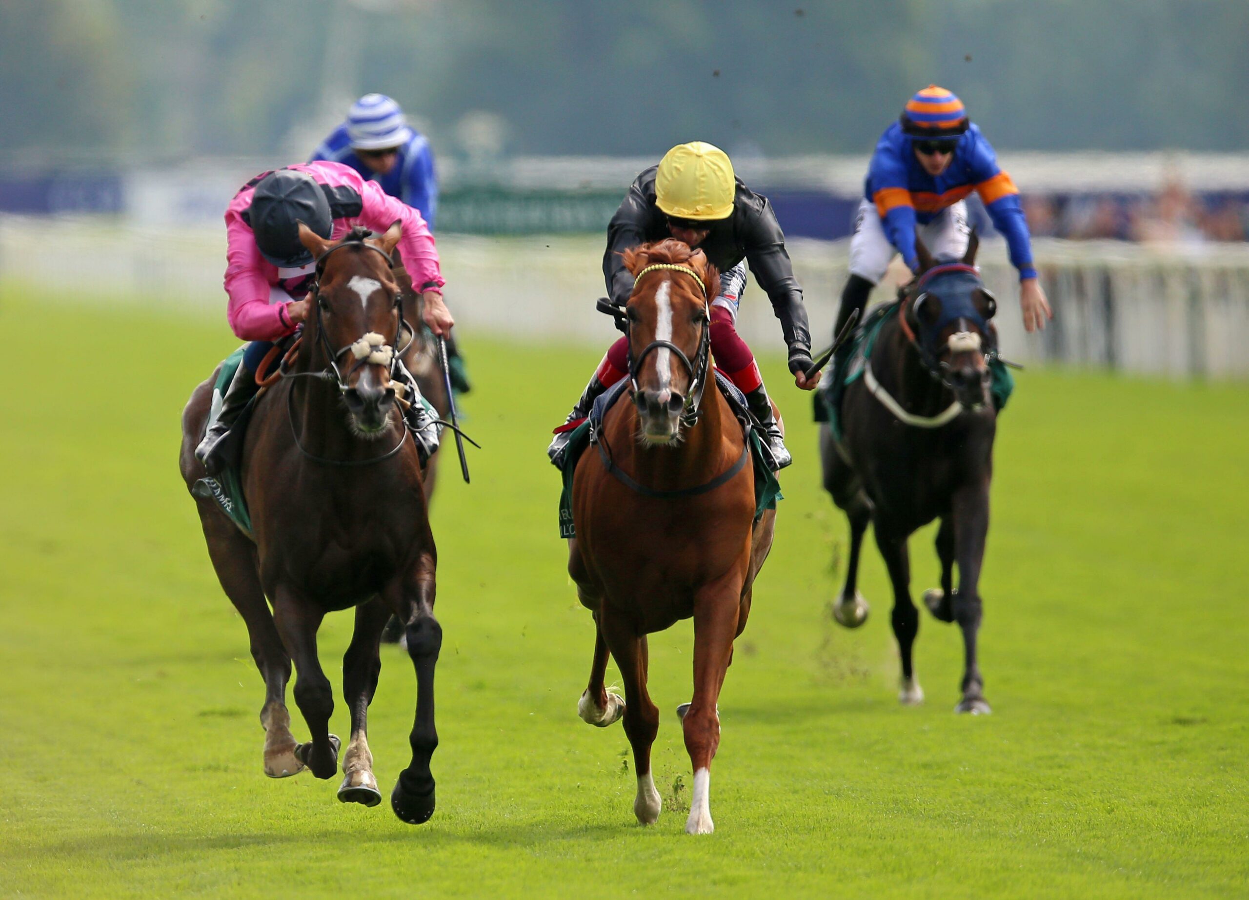 York Ebor Festival Day 3 Tips GG york-ebor-festival-day-3-tips-gg