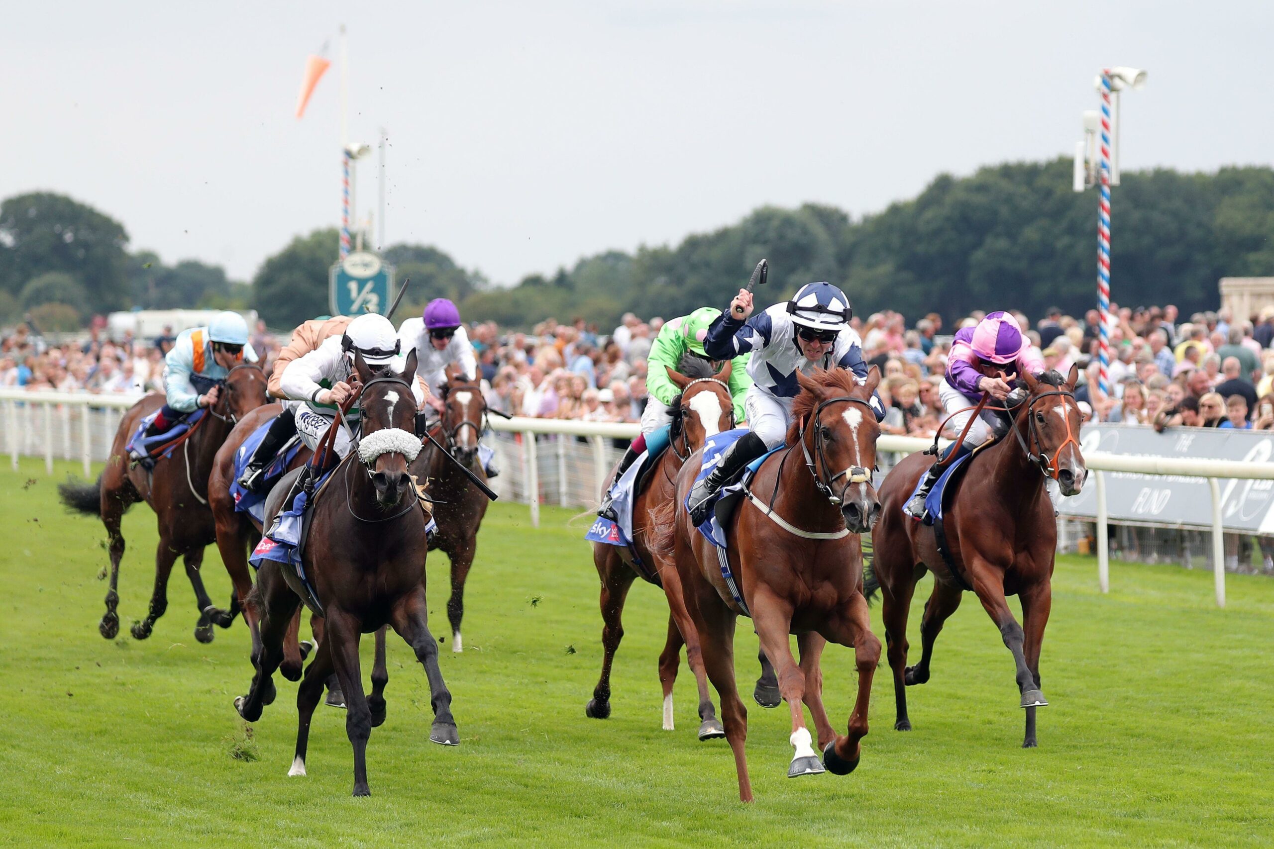 York Ebor Festival Day 2 Tips GG york-ebor-festival-day-2-tips-gg