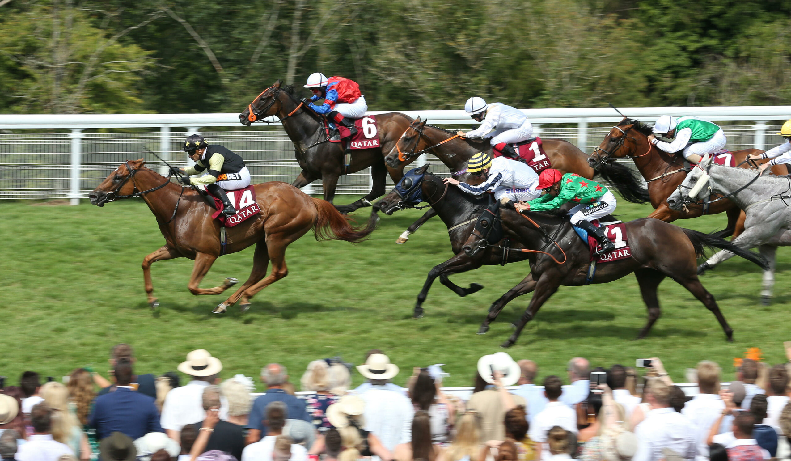 GG NAP Double And Outsider Thursday 6th October GG co uk gg-nap-double-and-outsider-thursday-6th-october-gg-co-uk
