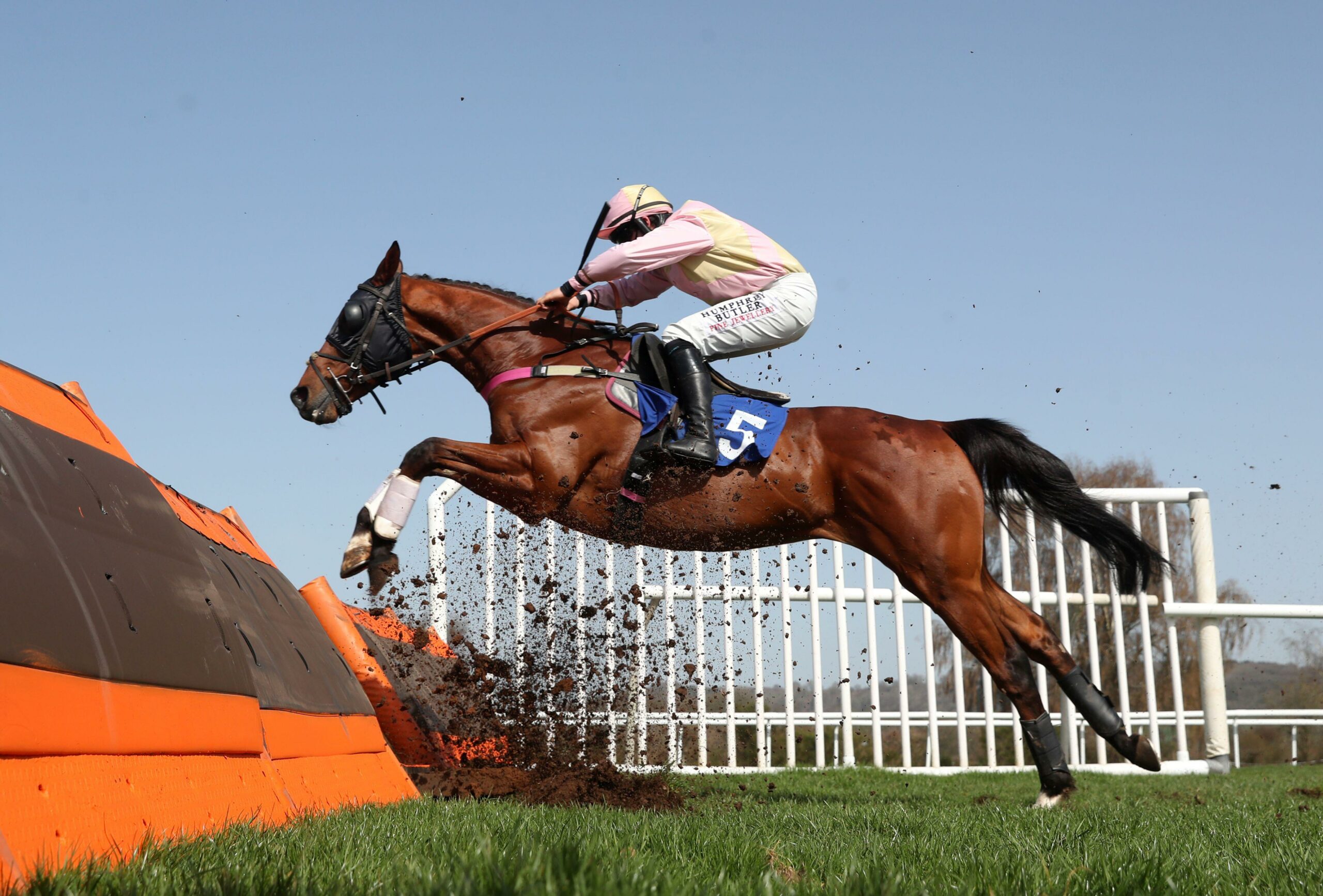 GG NAP Double And Outsider Friday 6th January GG co uk gg-nap-double-and-outsider-friday-6th-january-gg-co-uk