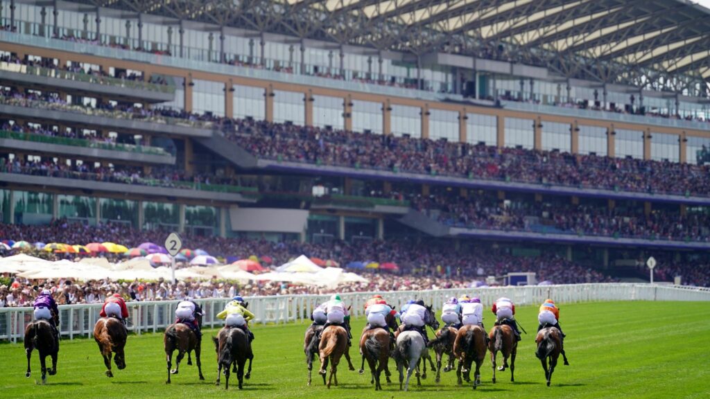 Royal Ascot 2021 - Commonwealth Cup Ante-Post Preview: Daryl Carter's Expert Analysis & Selection