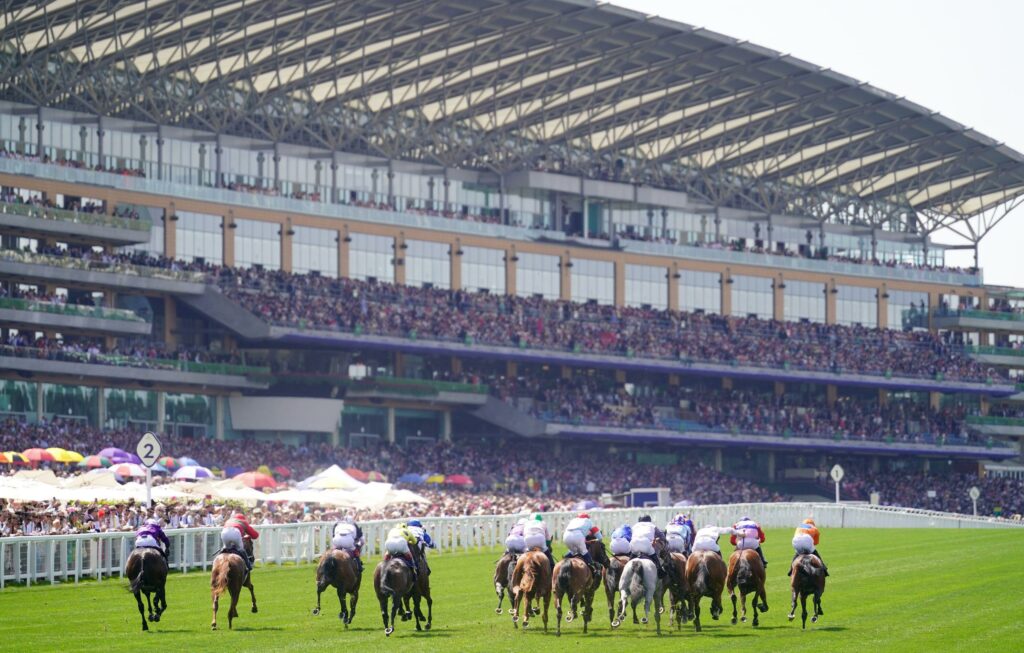 New & Exclusive: Matthew Sutcliffe's Value Pointers and Punts - Royal Ascot Day Four