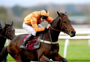Bangor Racing Tips & Predictions – Friday 4th September 2026