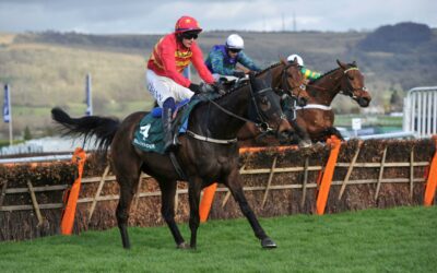 Stayers’ Hurdle Betting Tips – Expert Predictions