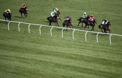 Cheltenham Festival Racecards For Every Race