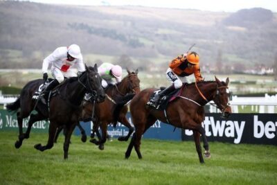 Queen Mother Champion Chase Tips – Expert Predictions