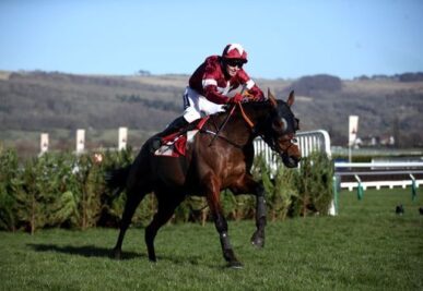 Cross Country Chase Betting Tips – Expert Predictions