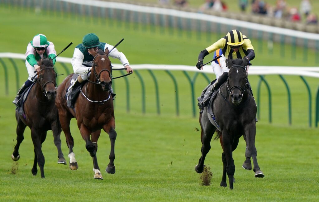 Matthew Sutcliffe's Value Punts - Top Tips for 2000 Guineas Day at Newmarket