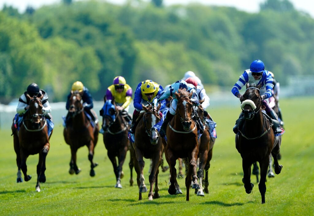 Pat's NAPs York Ebor Festival Free-To-Play Tipping Game - Win Prizes Every Day