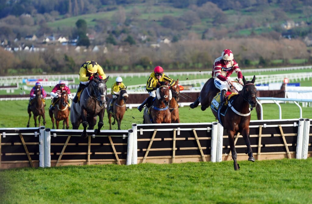 GG Lucky 15 tips: Four selections from Newton Abbot on Wednesday, 29th October