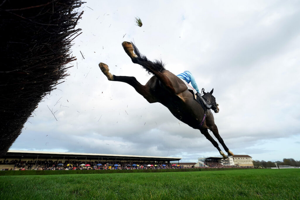 Haldon Gold Cup and Badger Beers Chase moved to Aintree as firm ground hits West Country Weekend