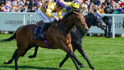 Jim Goldie hoping lighting can strike twice for American Affair in King Charles III Stakes
