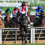 Matthew Sutcliffe’s Ten National Hunt Horses To Follow For 2026/27