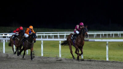 Chelmsford’s Good Friday card cancelled at short notice as the tracks future hangs in the balance