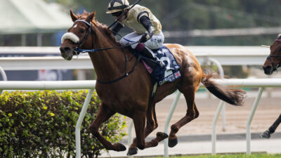 Hardwicke Stakes the spring target for globetrotting star Giavellotto