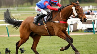 All horses return sound in Grand National as Mr Vango expect to make a full recovery