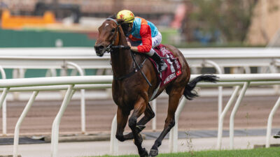David Hayes dangles Royal Ascot proposition with Ka Ying Rising after 20th consecutive success