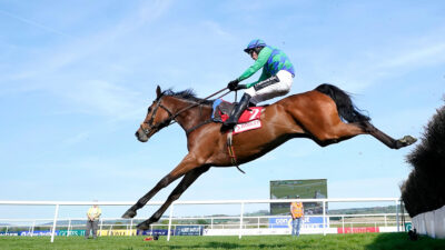 Punchestown Festival Day 1 Trends: Rules for every race on Tuesday at Punchestown