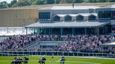 Punchestown Day 2 Tips 2026 – Best Bets Including 25/1 Grade 1 Outsider for Wednesday 29 April