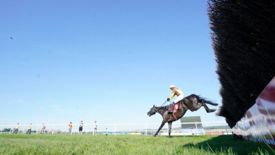 Punchestown Festival Day 2 Trends: Analysis of every Wednesday race including Punchestown Gold Cup