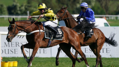 Punchestown Festival Day 5 Trends: Final day of Ireland’s season-ending meeting analysed
