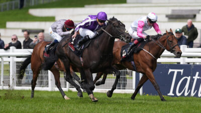 Greenham Stakes entries include shock name in Albert Einstein