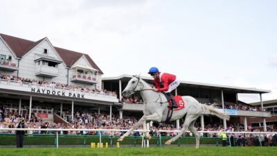 Group 1 breakthrough the sole aim for Estrange in 2026