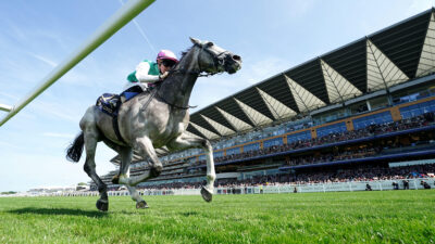 bet365 Mile tips, odds, racecard & trends: Will Field Of Gold return to his brilliant best?