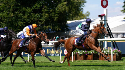 Classic credentials to be tested at Newbury this weekend 