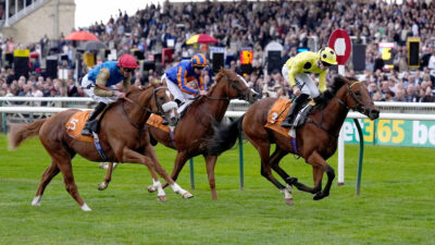 Bow Echo, Royal Lodge, Newmarket