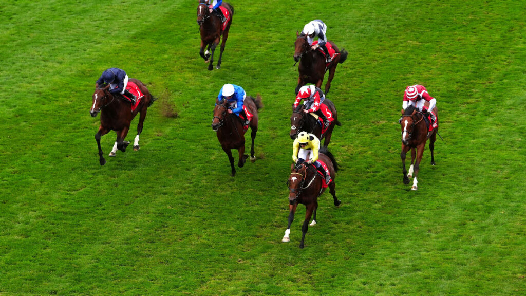 Newmarket Tips - Matthew Sutcliffe's Craven Meeting Day 3 Picks For Thursday 16 April