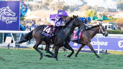 Irish 2000 Guineas Runners 2026: 13 confirmations headlined by Gstaad