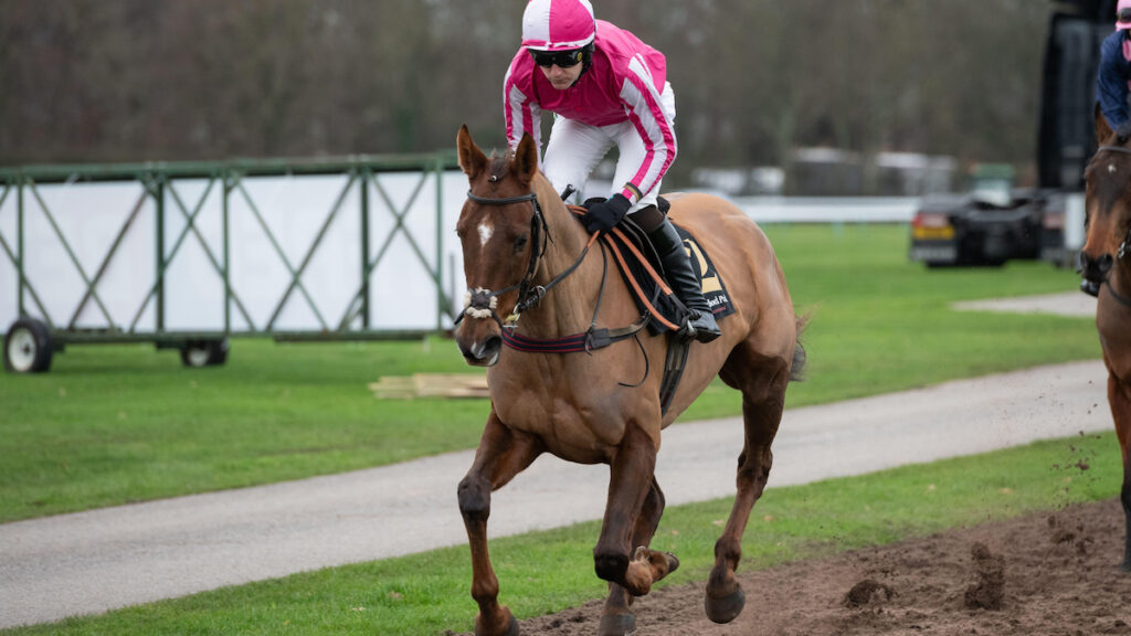 Newbury & Ayr Racing Tips - Matthew Sutcliffe's Best Bets for Saturday 18 April