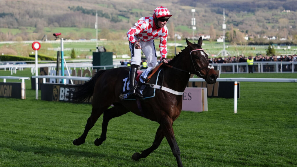 Liverpool Hurdle tips, odds, racecard & trends 2026: Merseyside can turn Blue for Henderson