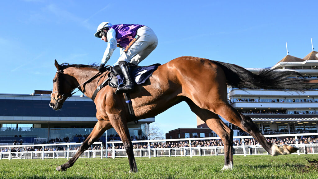 Punchestown Day 3 Racing Tips - Matthew Sutcliffe's Best Bets for Thursday 30 April