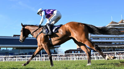 Punchestown Day 3 Racing Tips – Matthew Sutcliffe’s Best Bets for Thursday 30 April