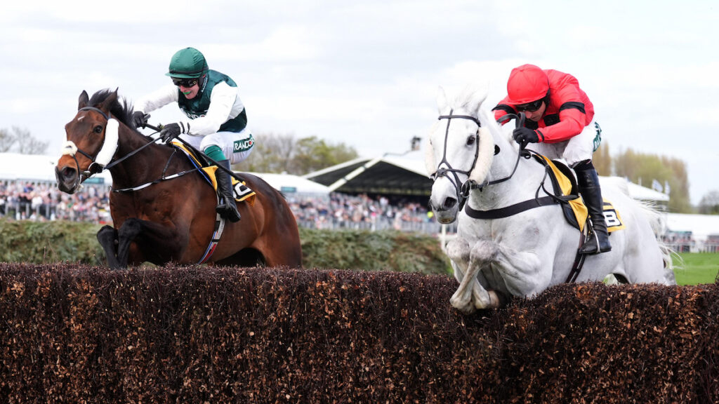 Celebration Chase tips, odds, racecard & trends: Grade 1 prize can stay in Irish hands