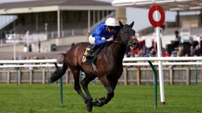 2000 Guineas second favourite Talk Of New York uncertain runner at Newmarket