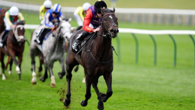 Big weekend for royal runners headlined by Portcullis on Friday