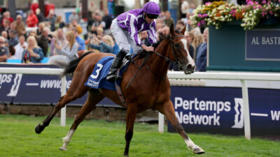 Aidan O’Brien’s pair of Frankel colts bound for Chester