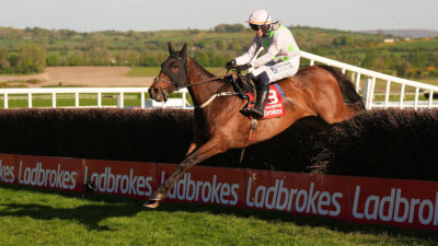 Gaelic Warrior caps off a brilliant season with scintillating Punchestown Gold Cup victory