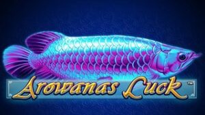 Arowanas Luck