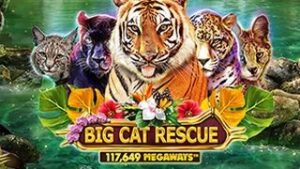 Big Cat Rescue Megaways