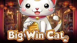 Big Win Cat