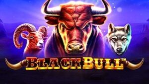 Black Bull