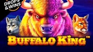 Buffalo King