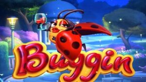 Buggin